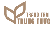 logo_footer